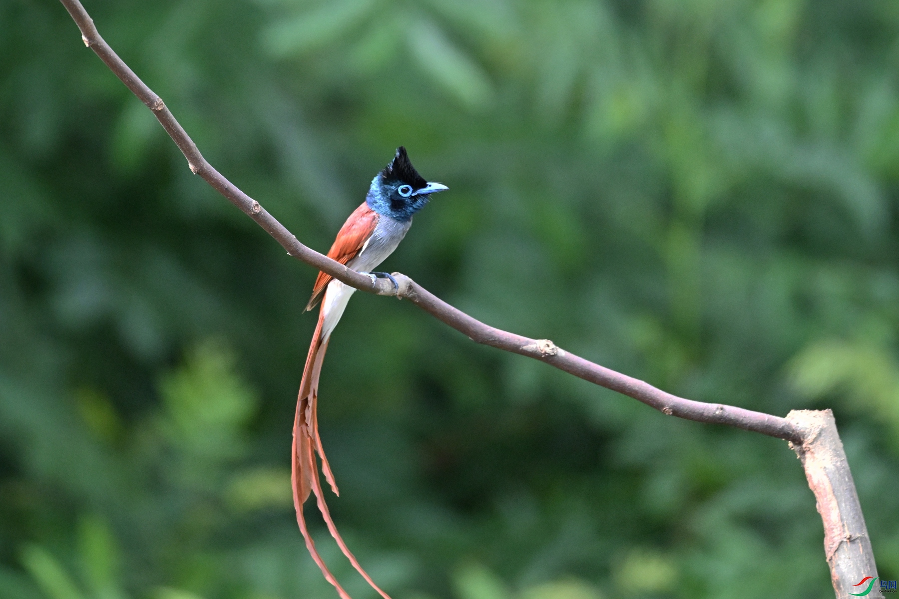 DSC_5675.JPG