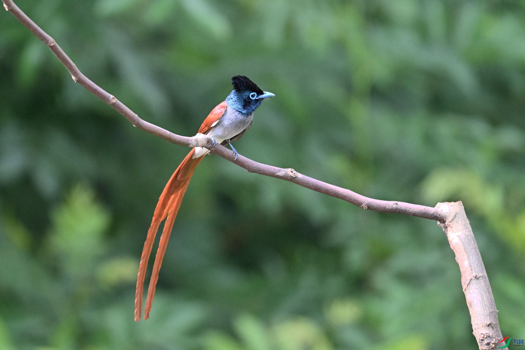 DSC_5732.JPG