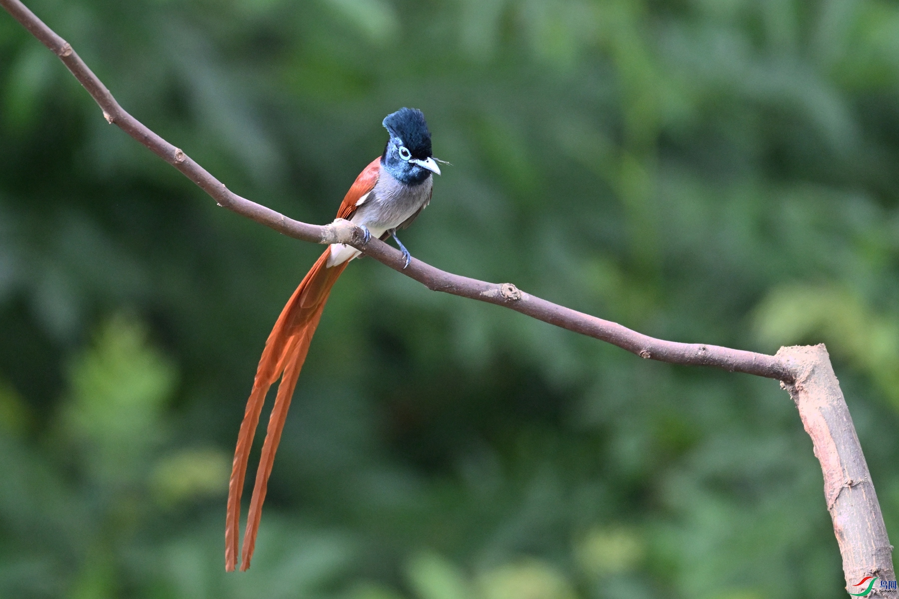 DSC_5728.JPG