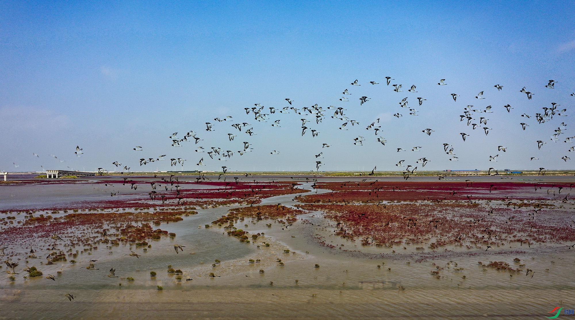 DJI_0601.jpg