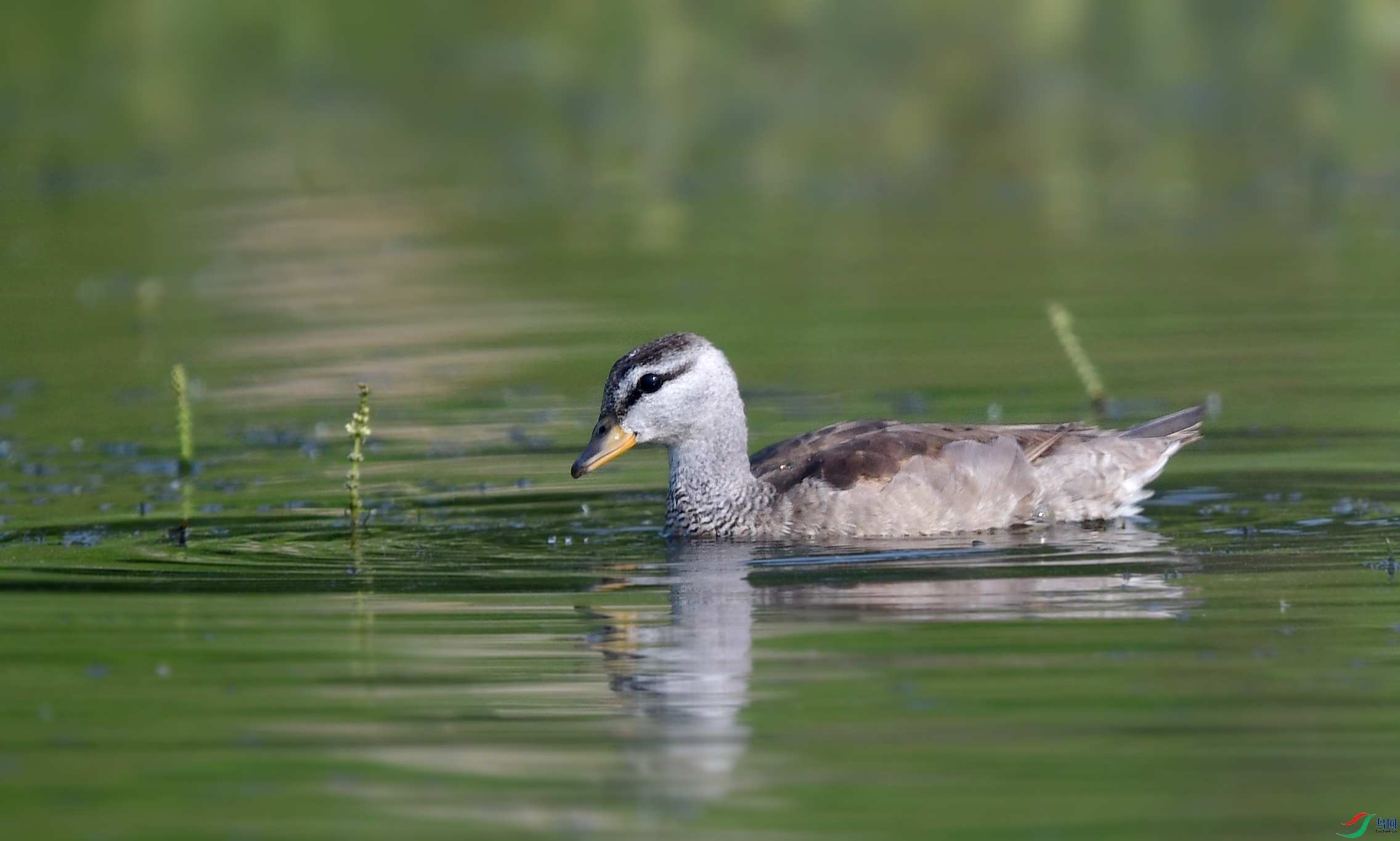 DSC_2292_conew4.jpg