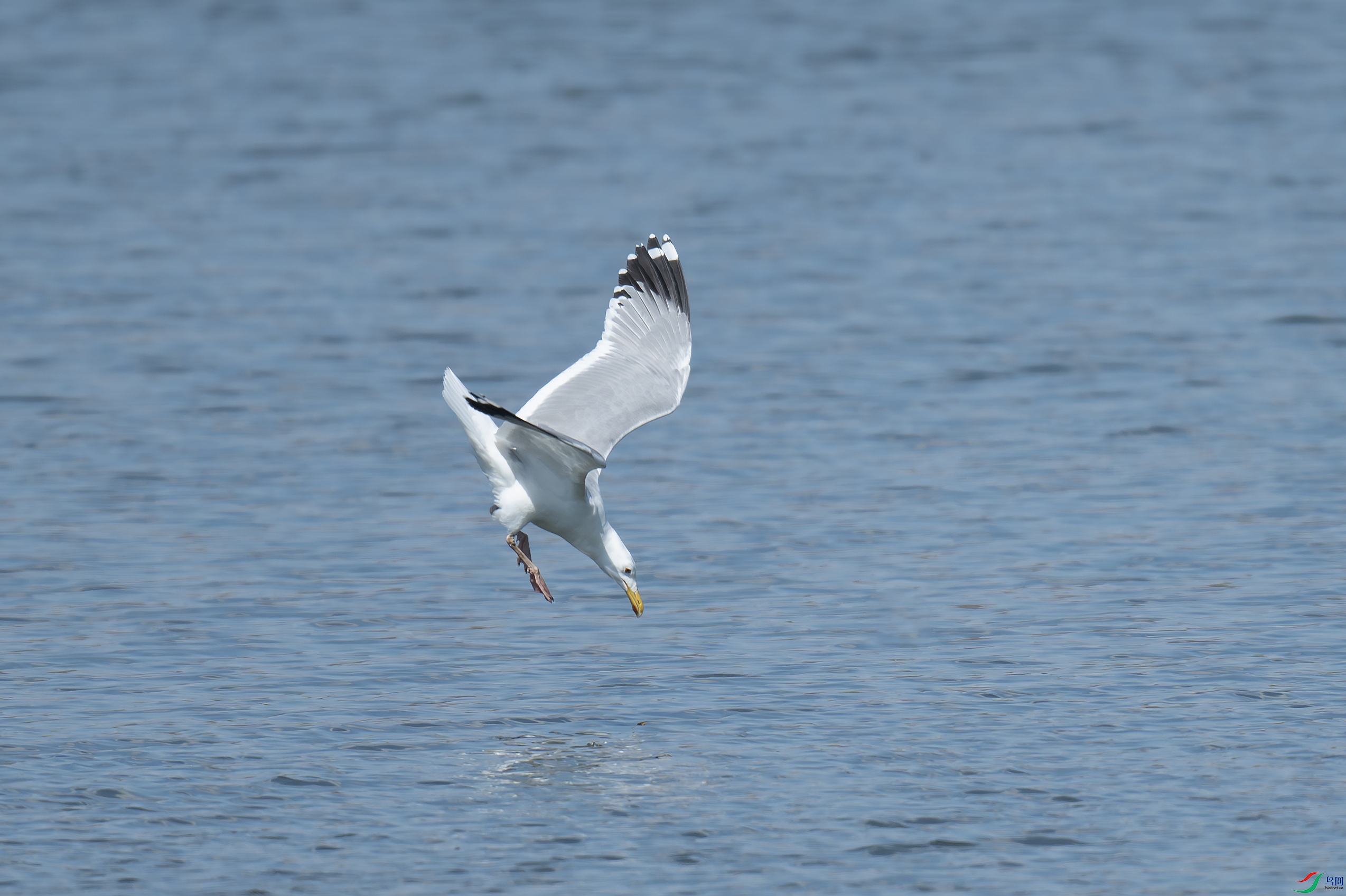 DSC_7179-����.jpg