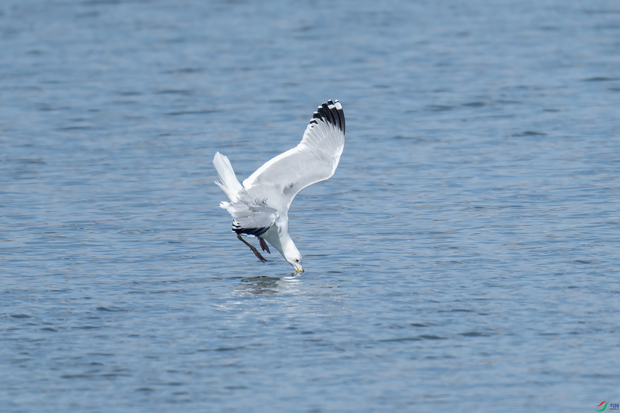 DSC_7180-����.jpg