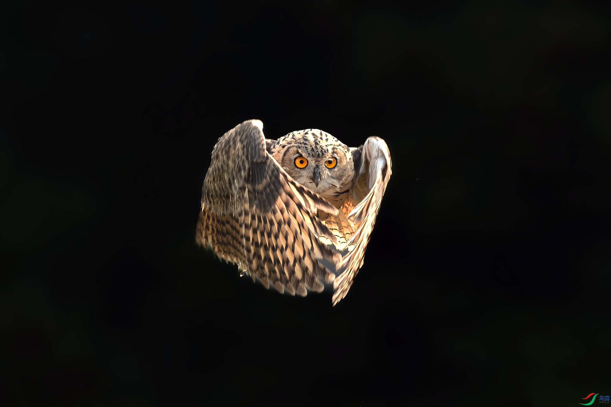 _DSC4457__.jpg