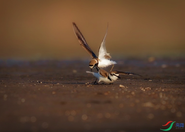 DSC00730-ARW_DxO_DeepPRIMEXD_polarr.jpeg