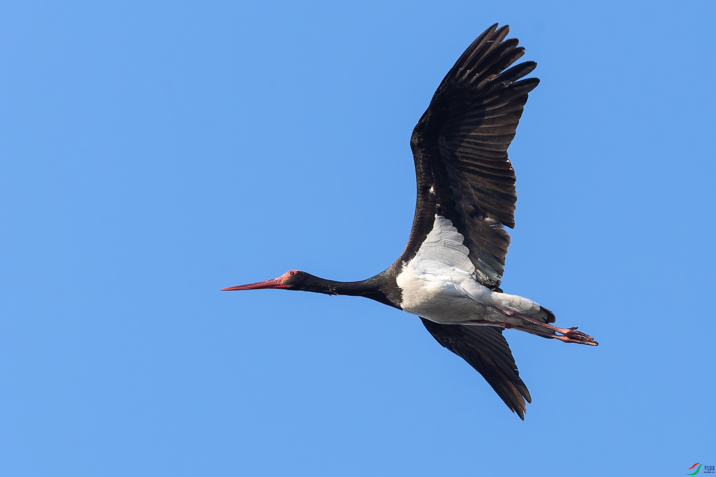 DSC_0506.jpg