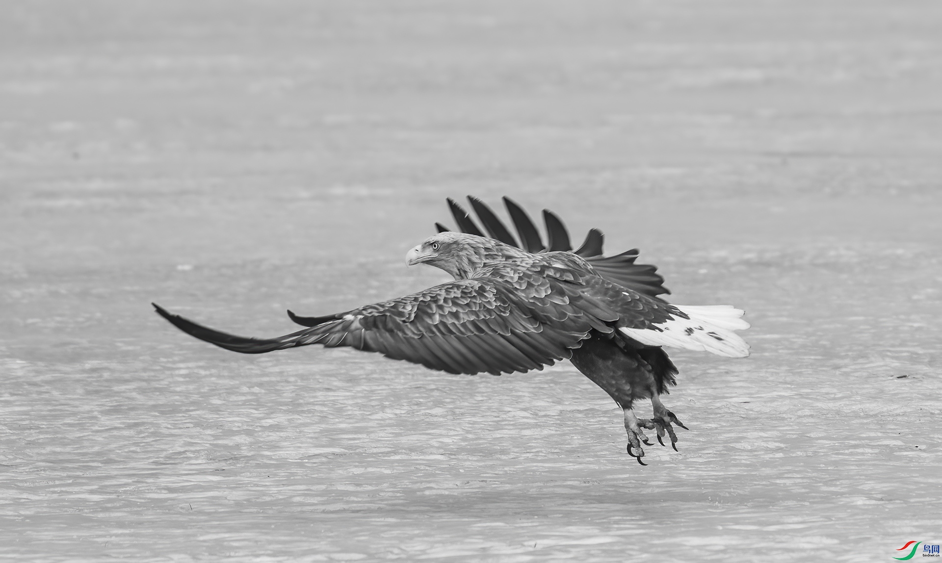 DSC06855 ����.jpg