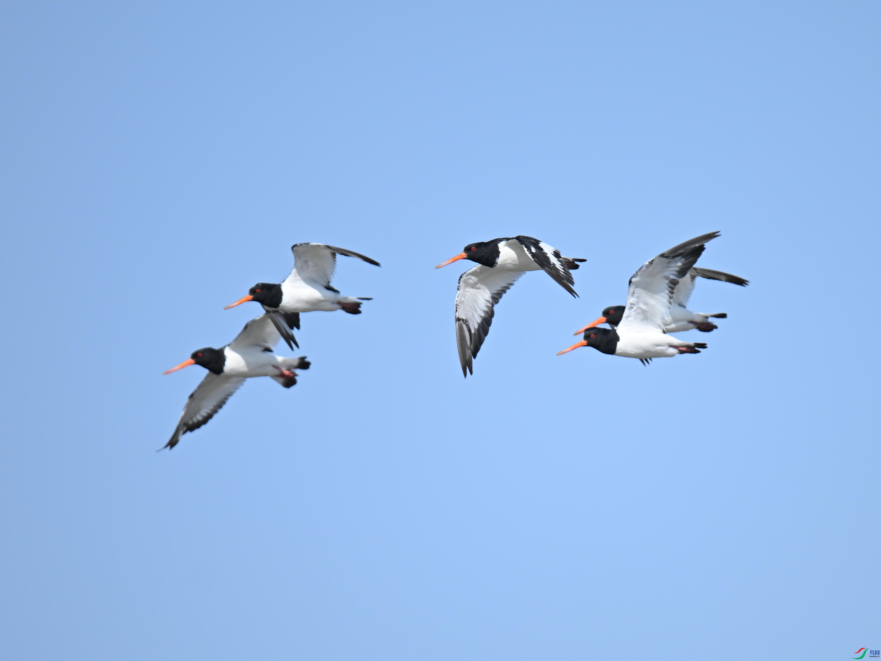 DSC_5660_����.jpg