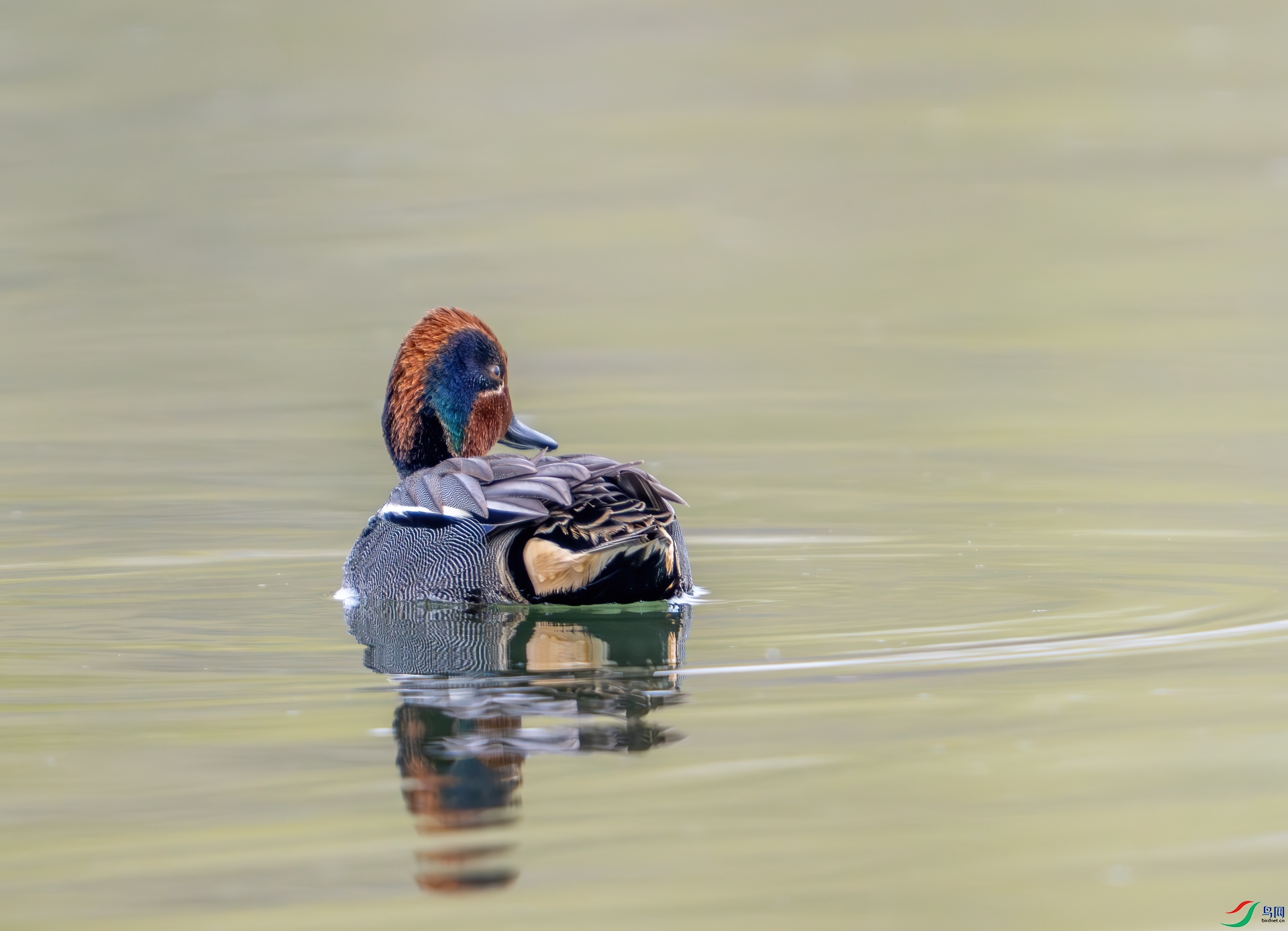 DSC_0848.jpg
