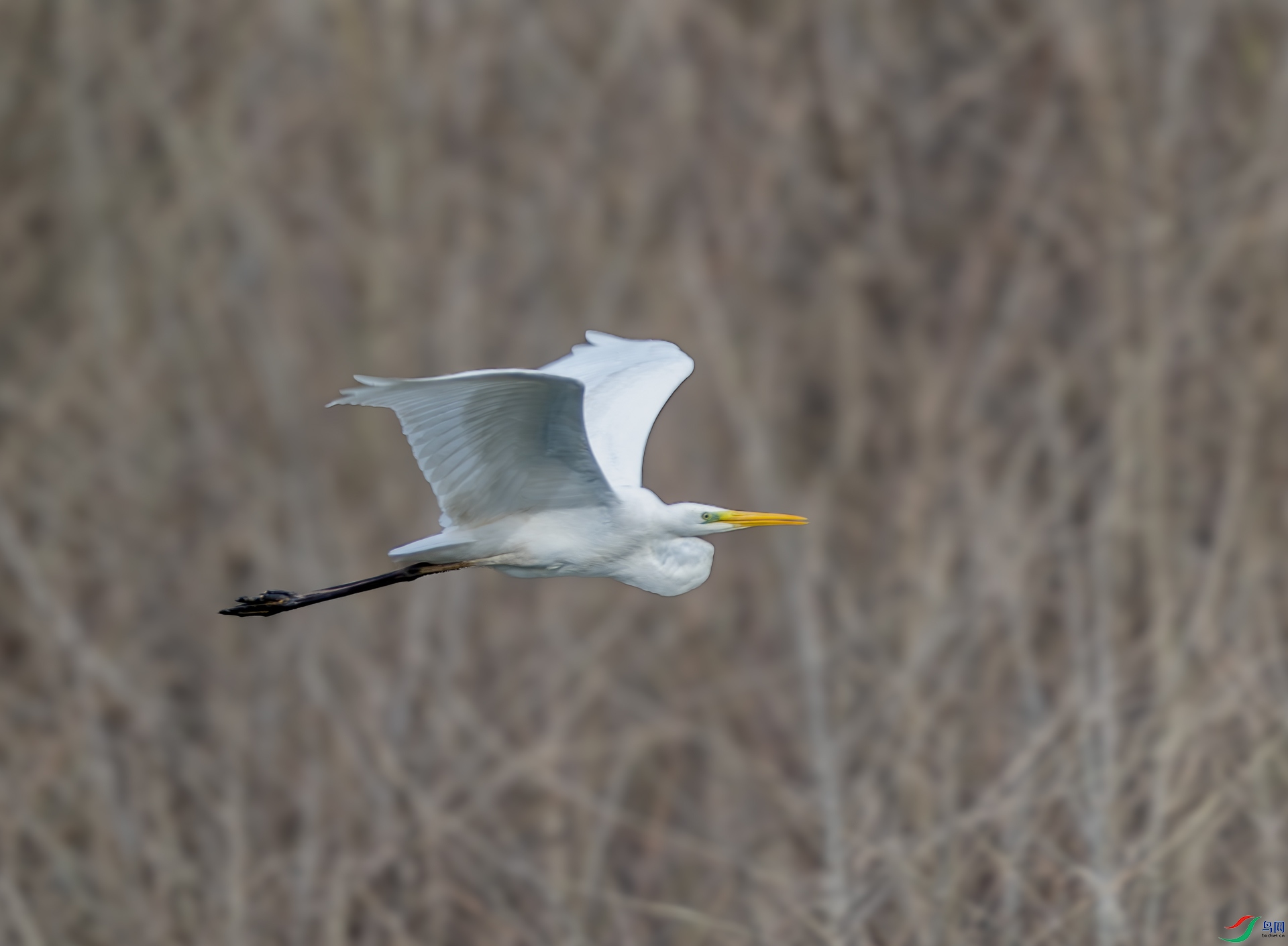 DSC_0293.jpg