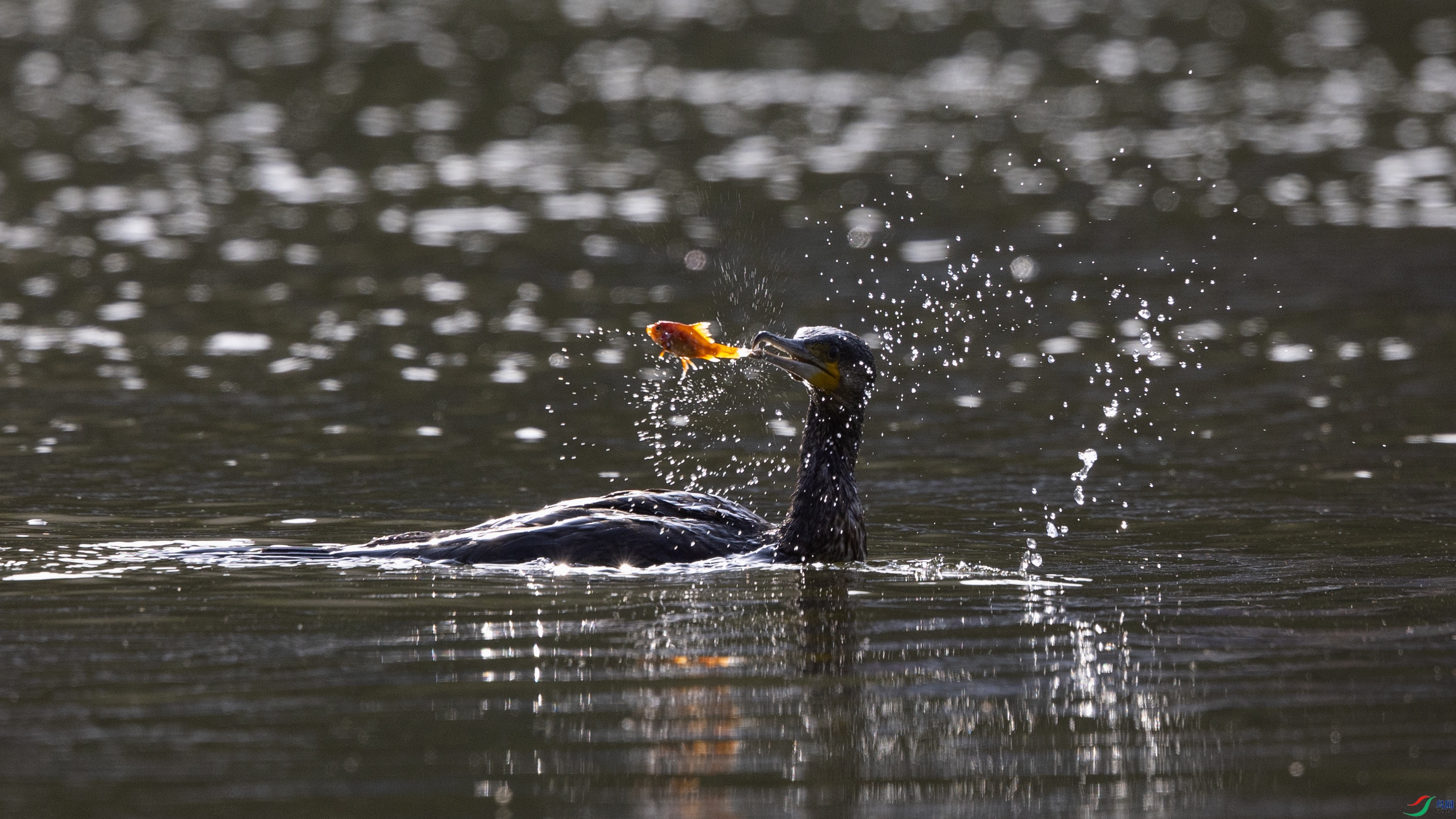 0O7A8716 ����.jpg