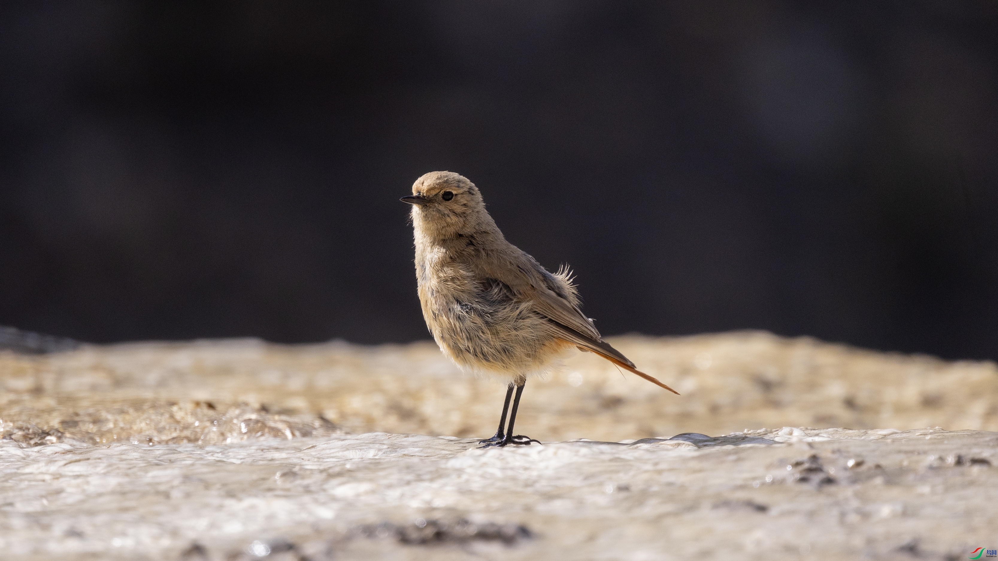 7X5A7802 ����4444.jpg