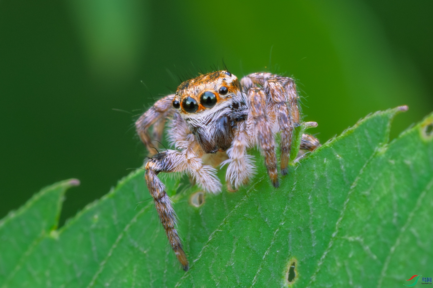 DSC_4992_1.JPG