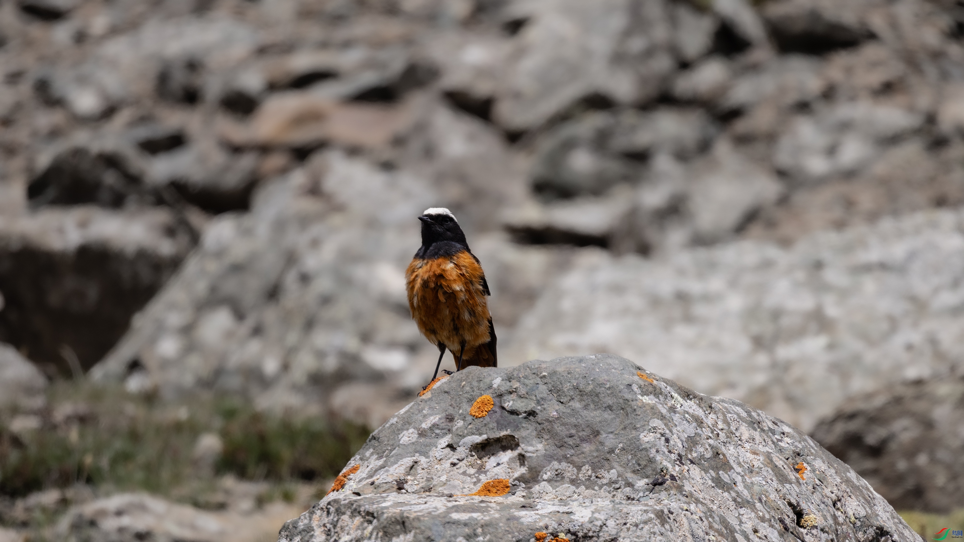 7X5A8111 ����.jpg