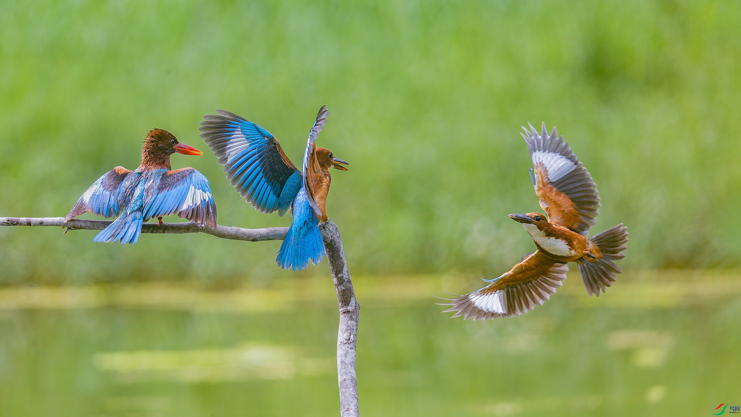 _UN_7035-����ǿ-NR.jpg