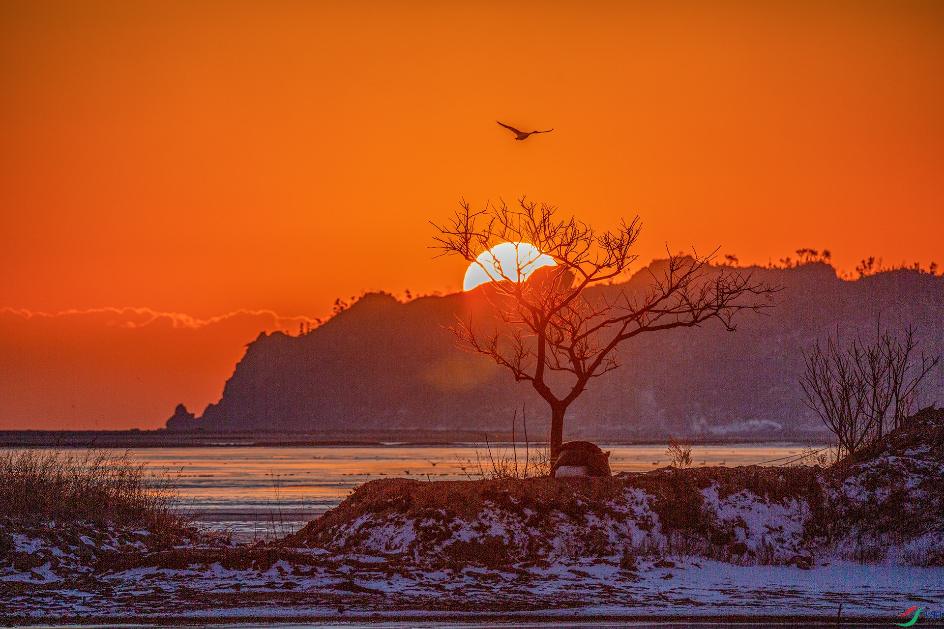 XT5A5386ɽ��0915.jpg