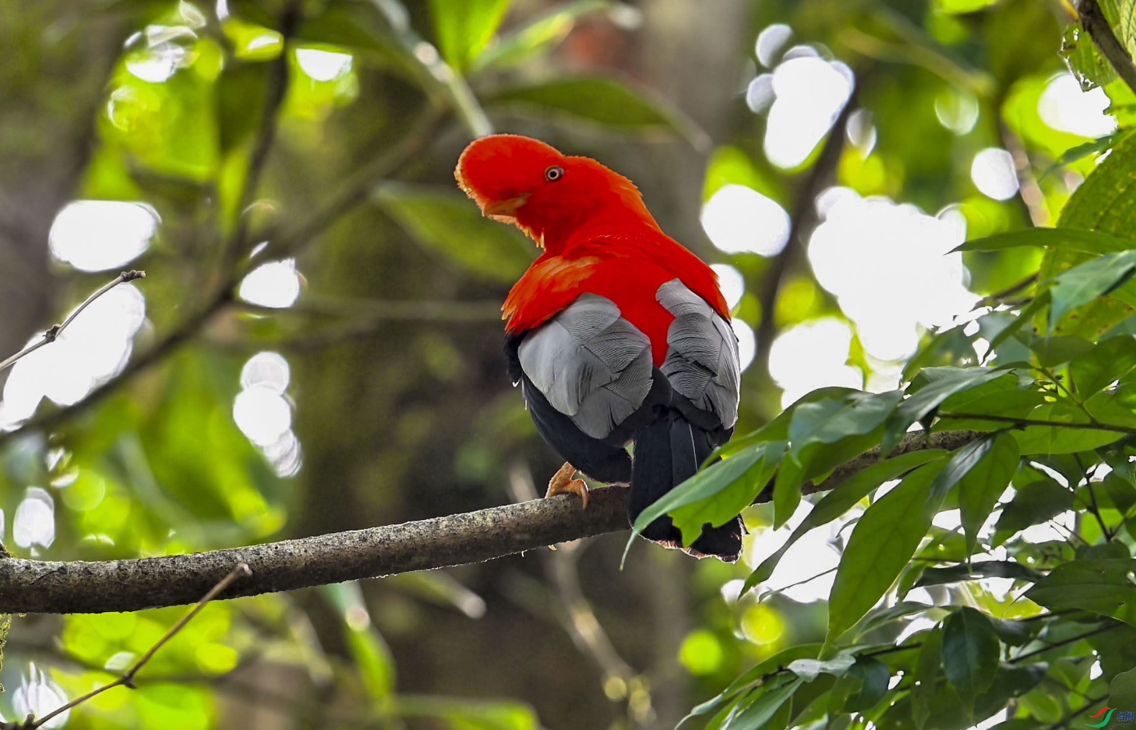 ����2025-09-15 21.00.16.jpg