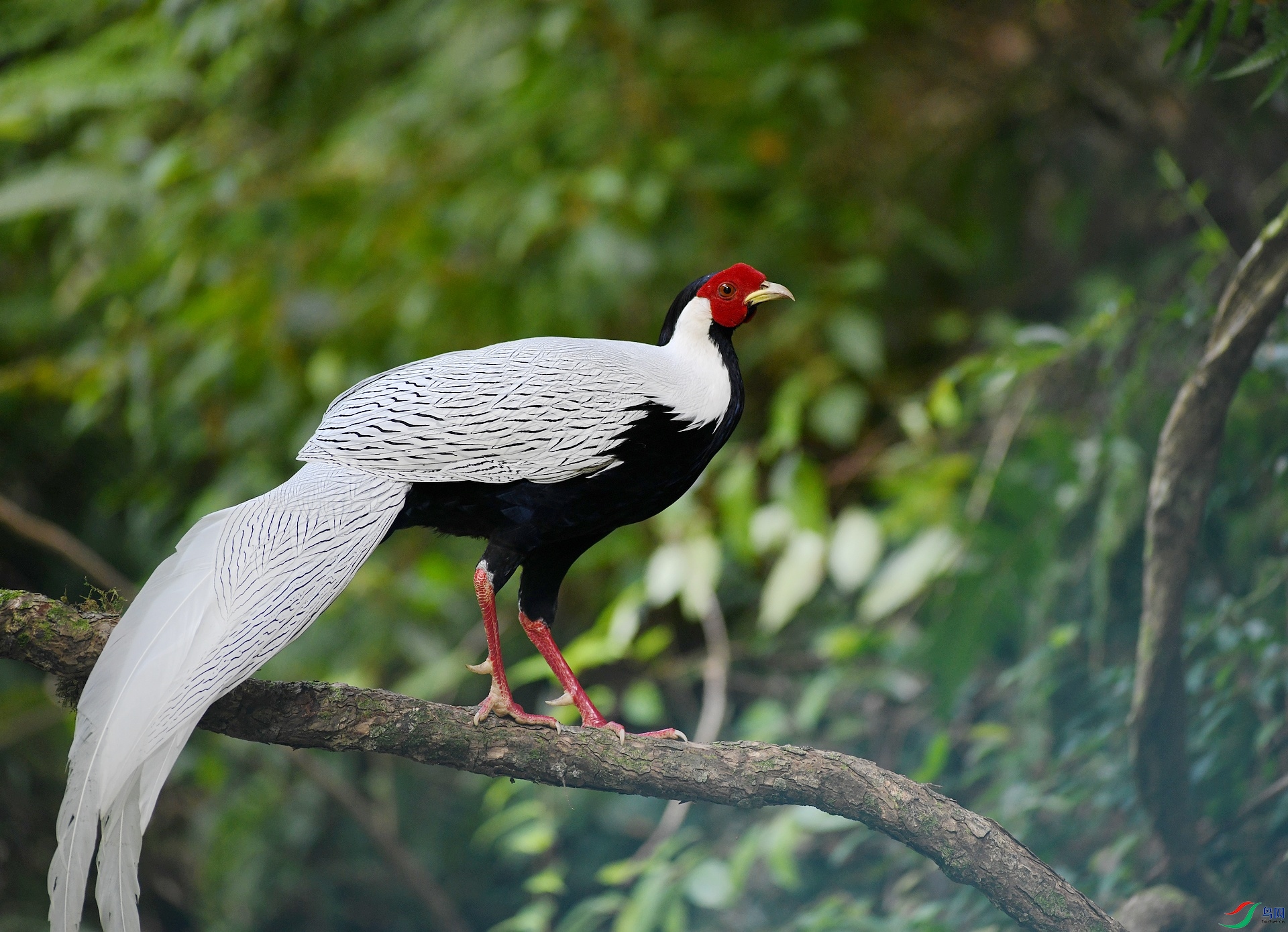 DSC_5507.jpg