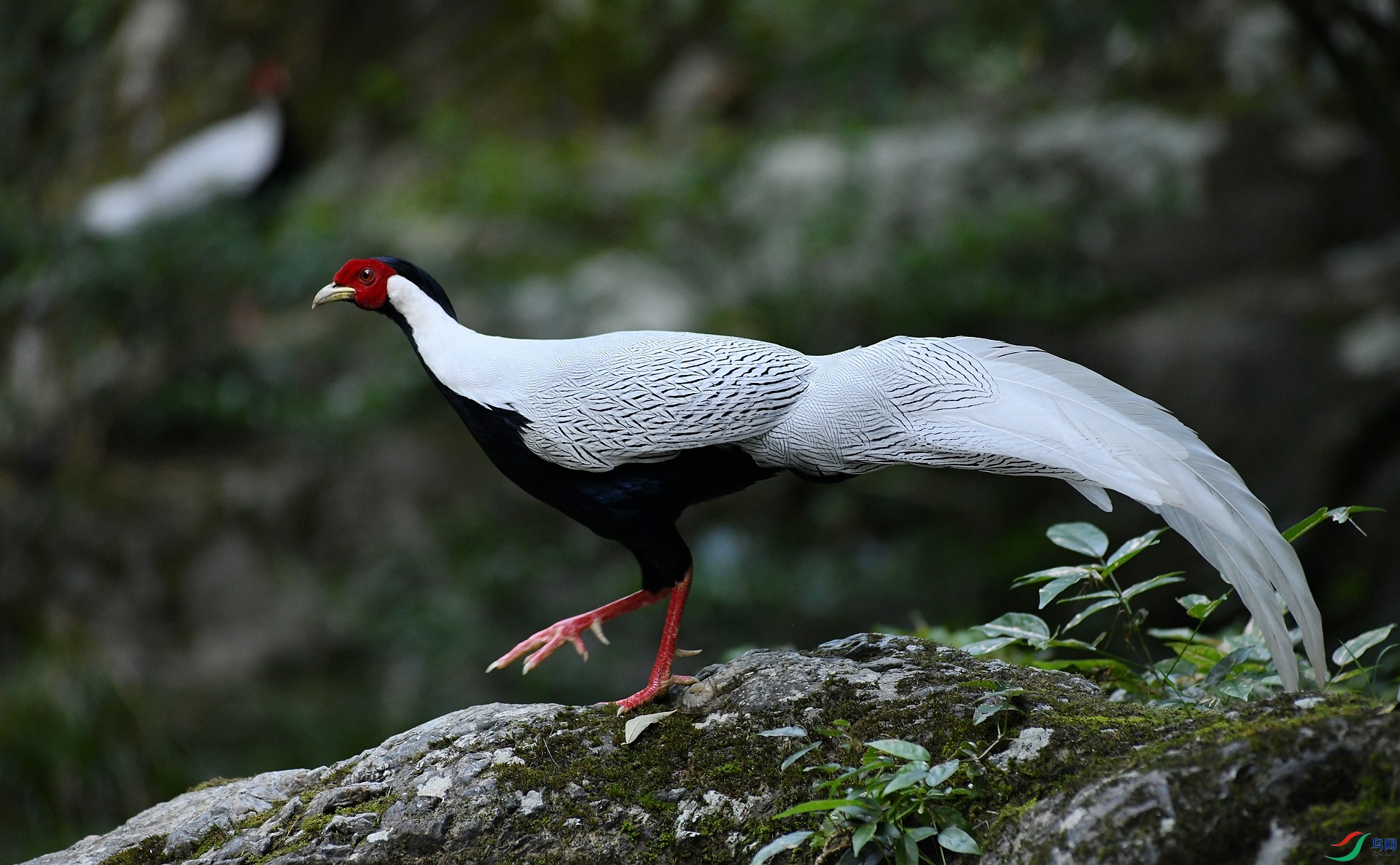 DSC_6122.jpg