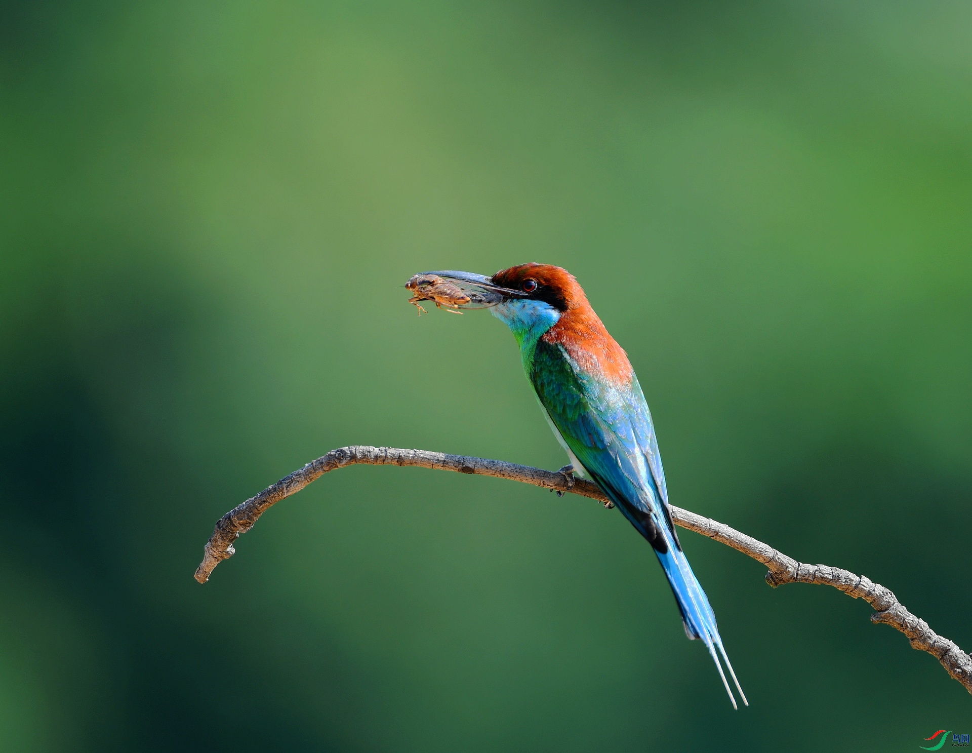 DSC_6182.jpg