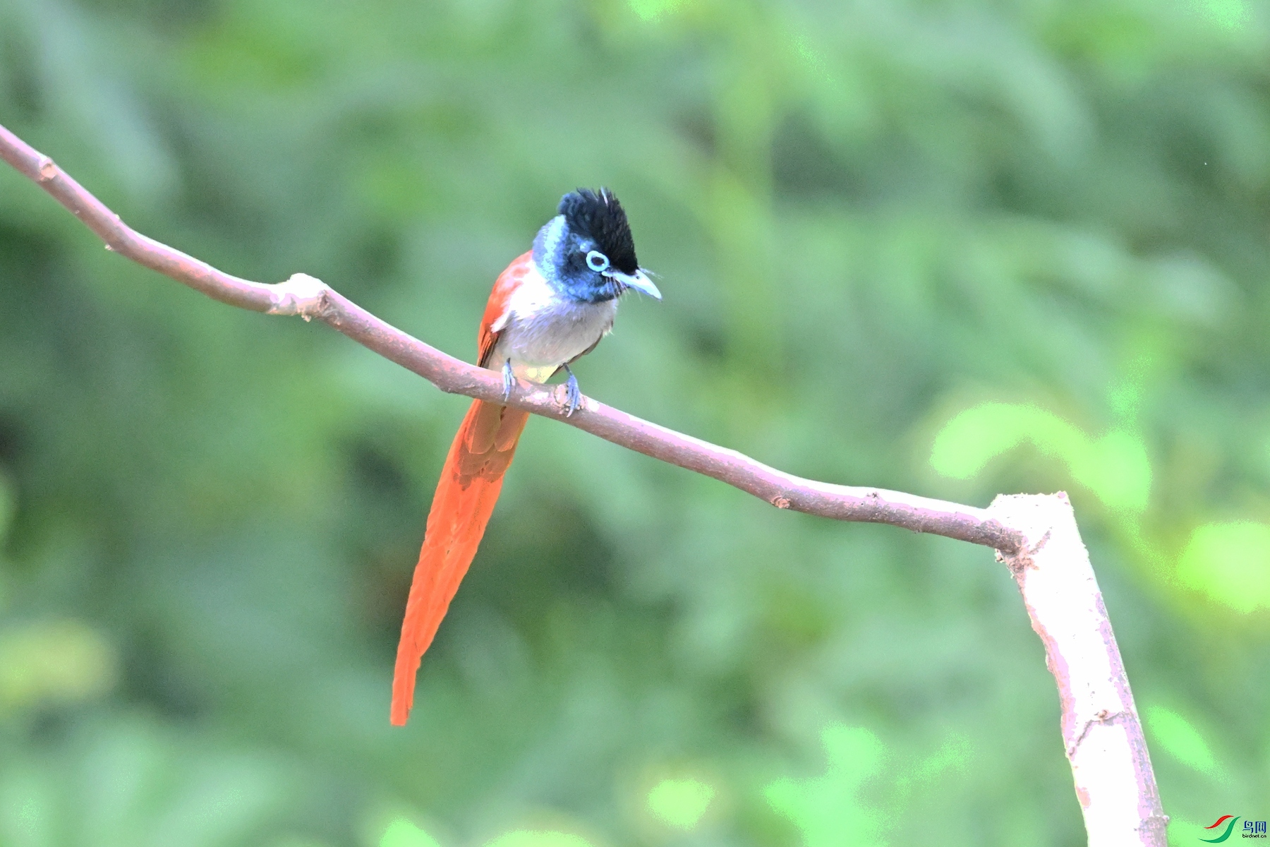 DSC_5799.JPG