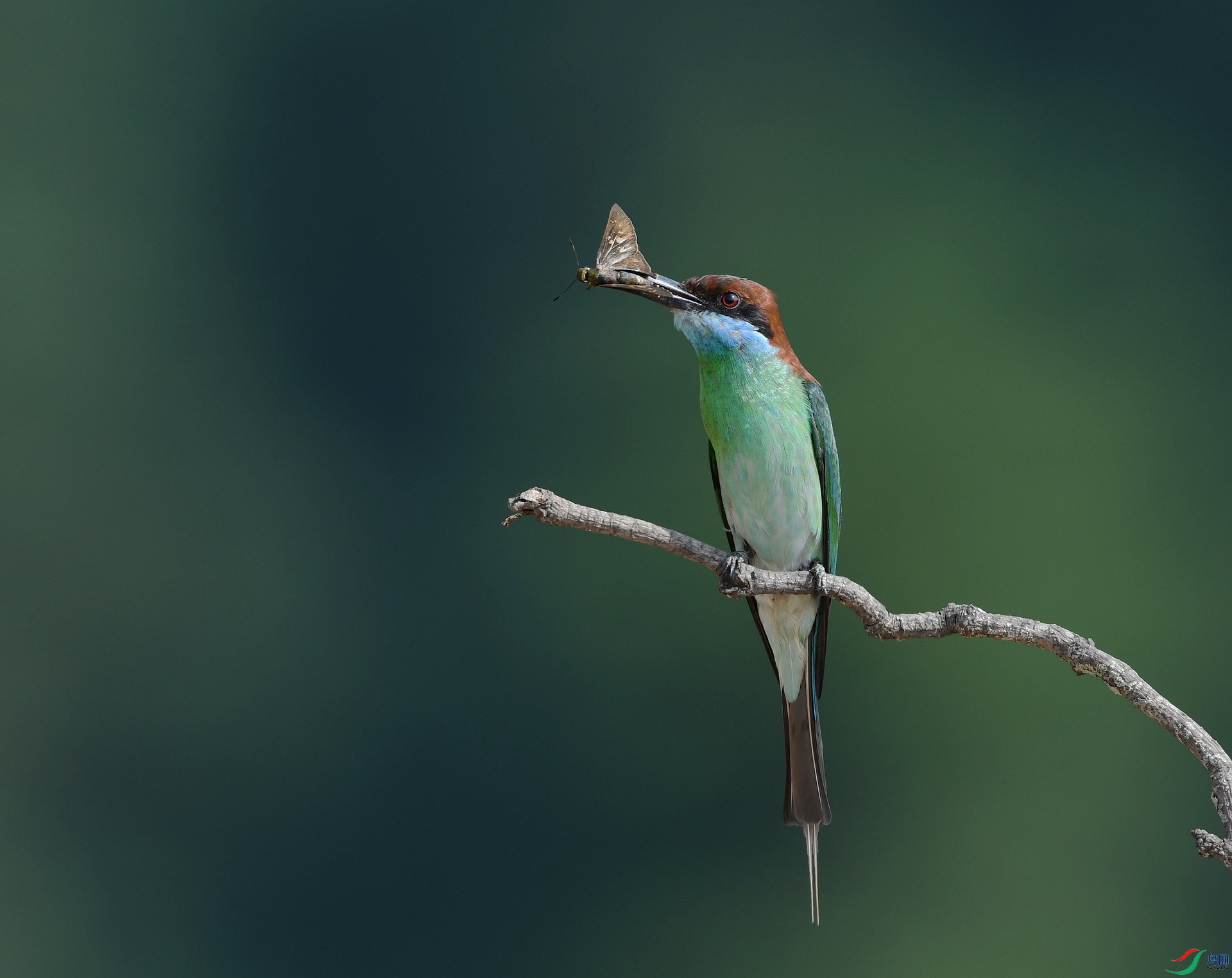 DSC_7224.jpg