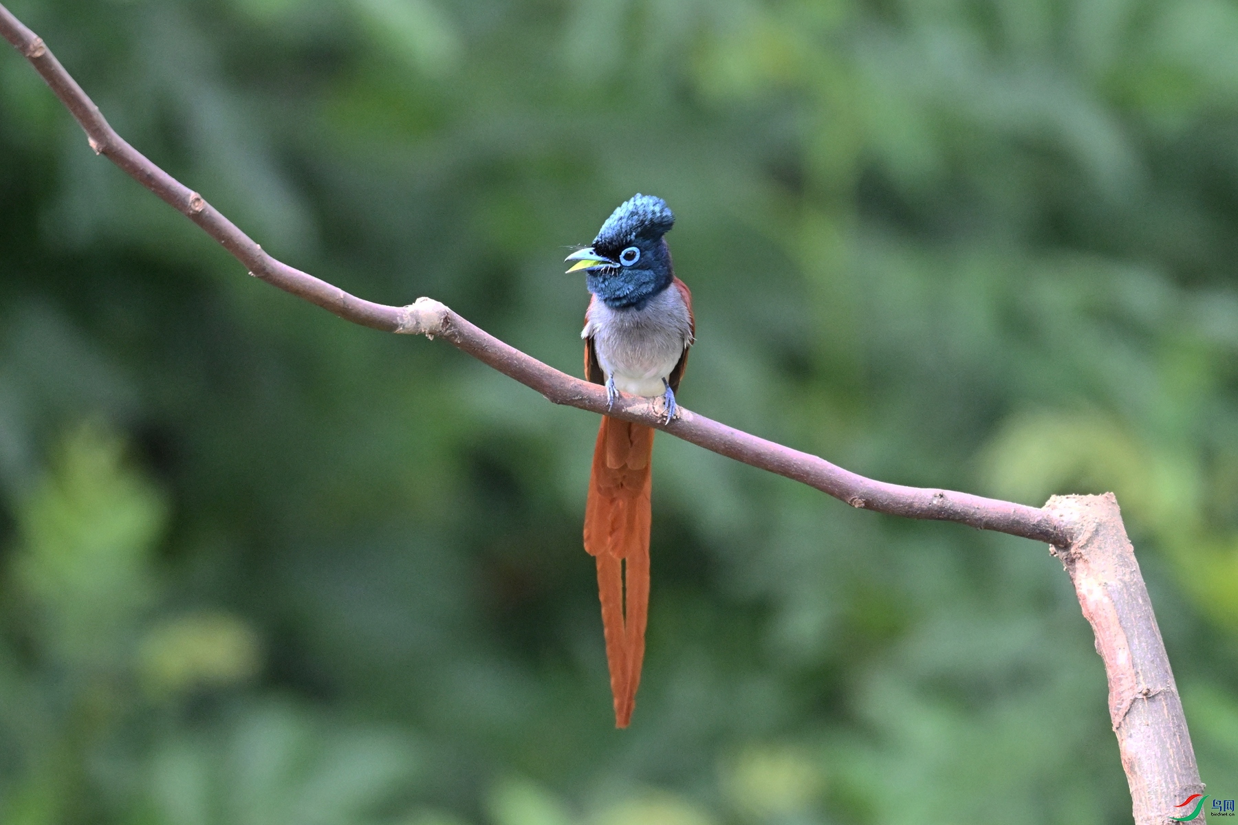 DSC_5784.JPG