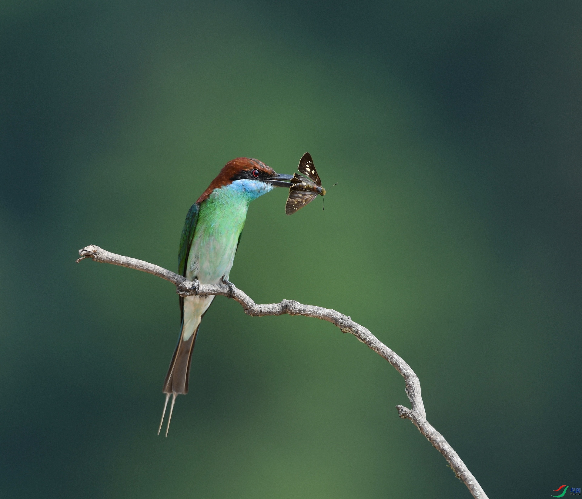 DSC_7431.jpg