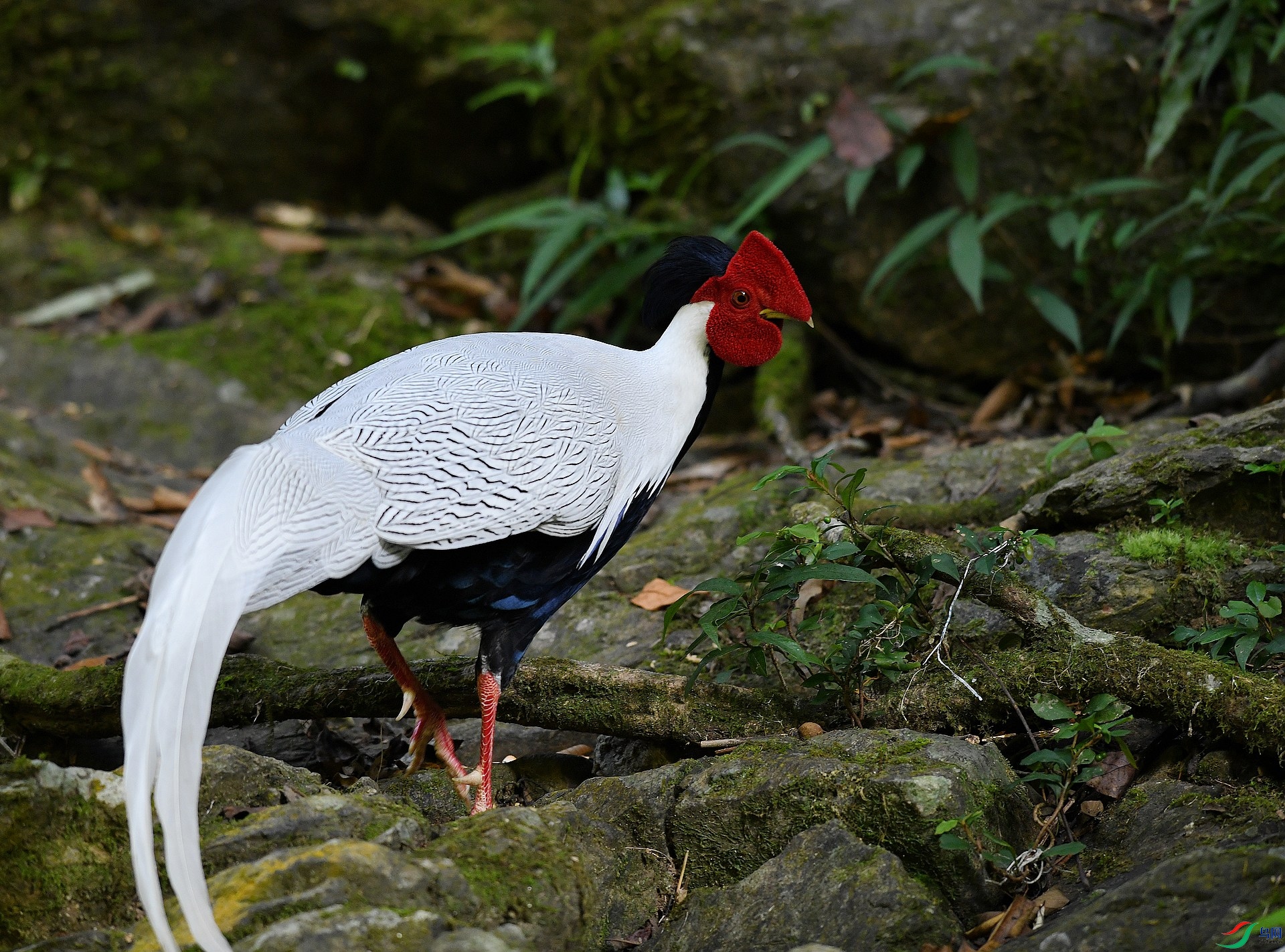 DSC_8281.jpg