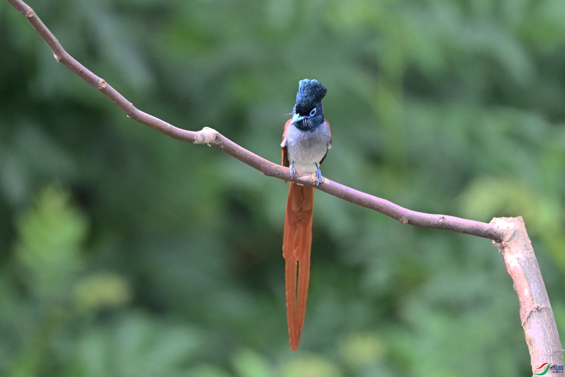 DSC_5792.JPG