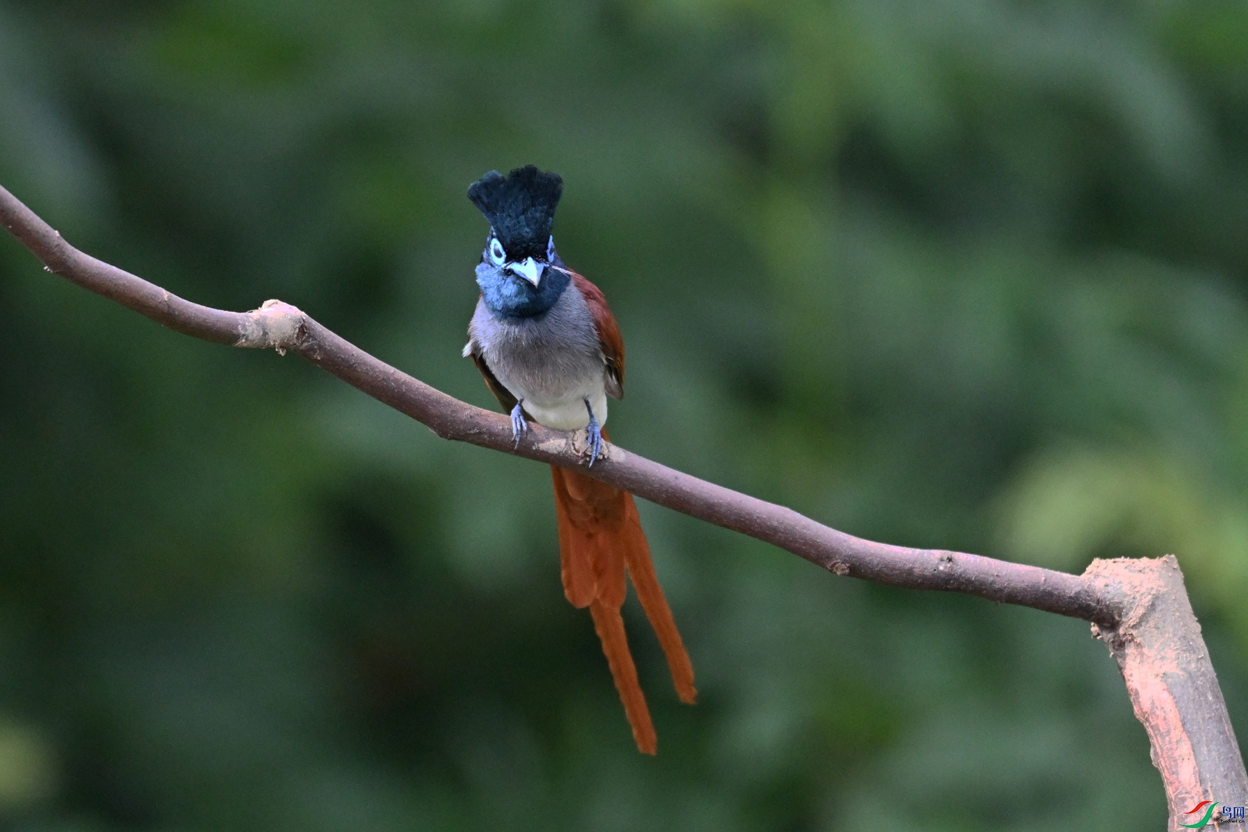 DSC_5789.JPG