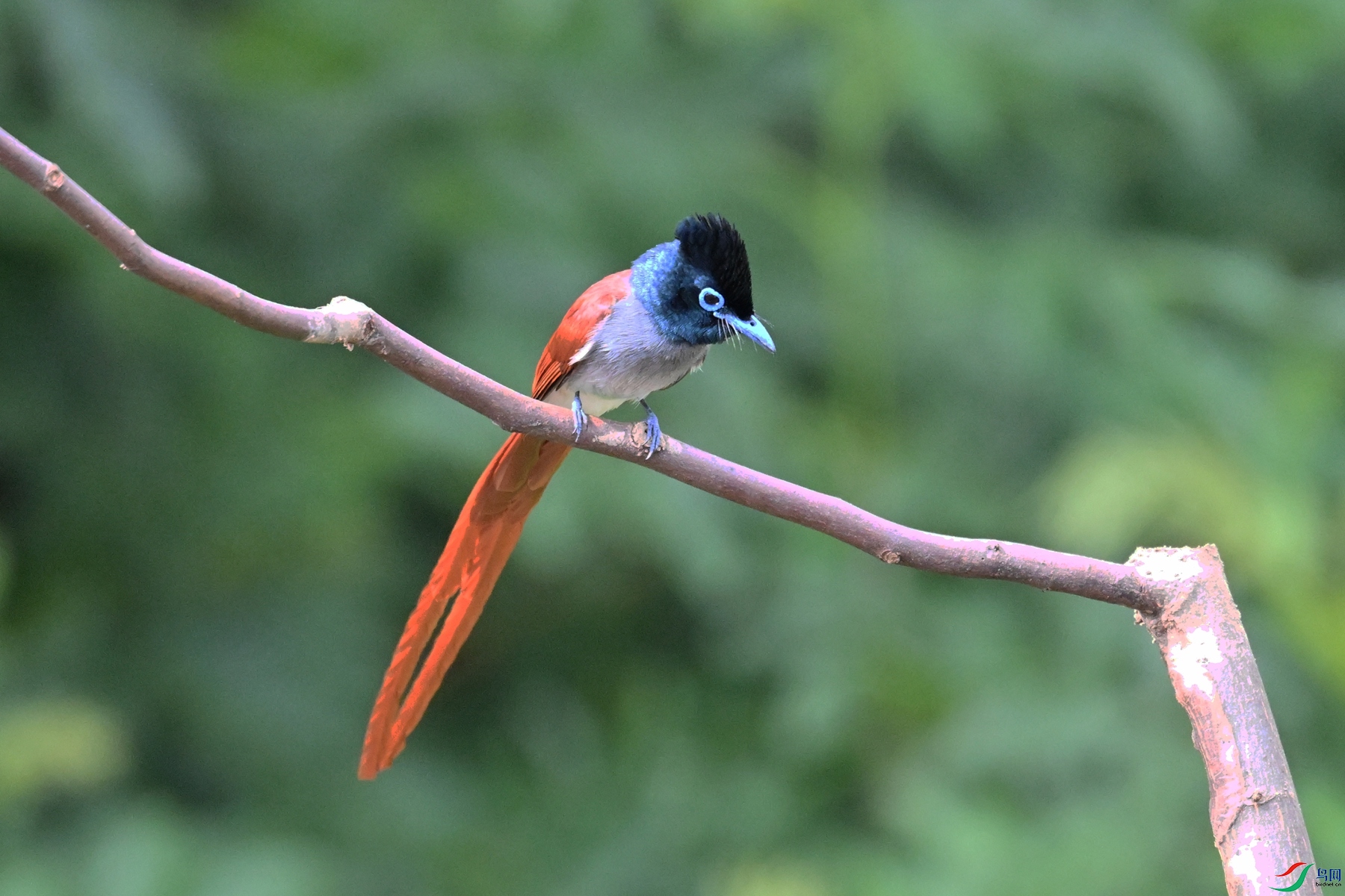 DSC_5802.JPG