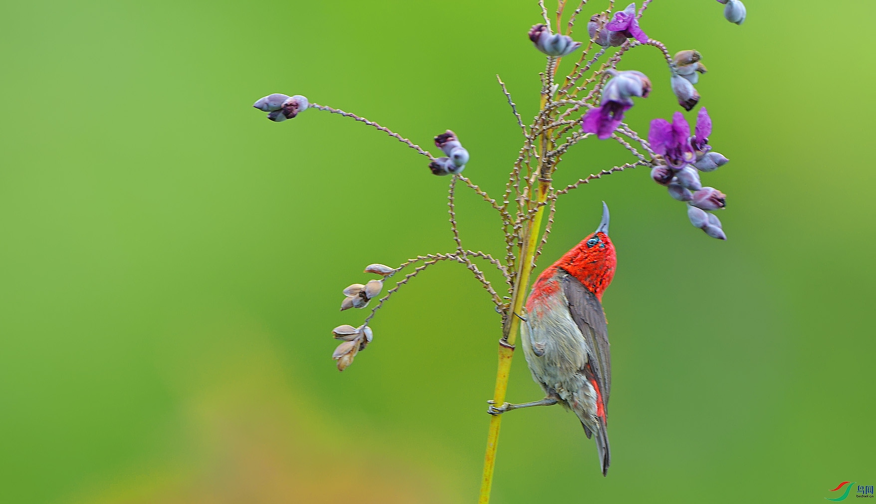 {3F755E49-0654-4059-9321-96389E32EA0A} ����.jpg