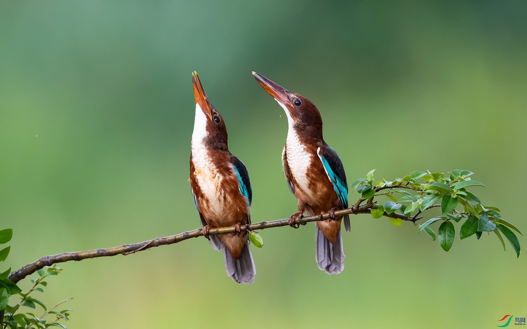 DSC_������� - ����.jpg