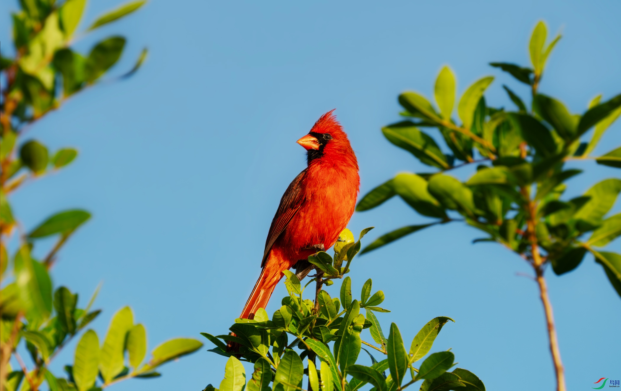 DSC_0897.jpg