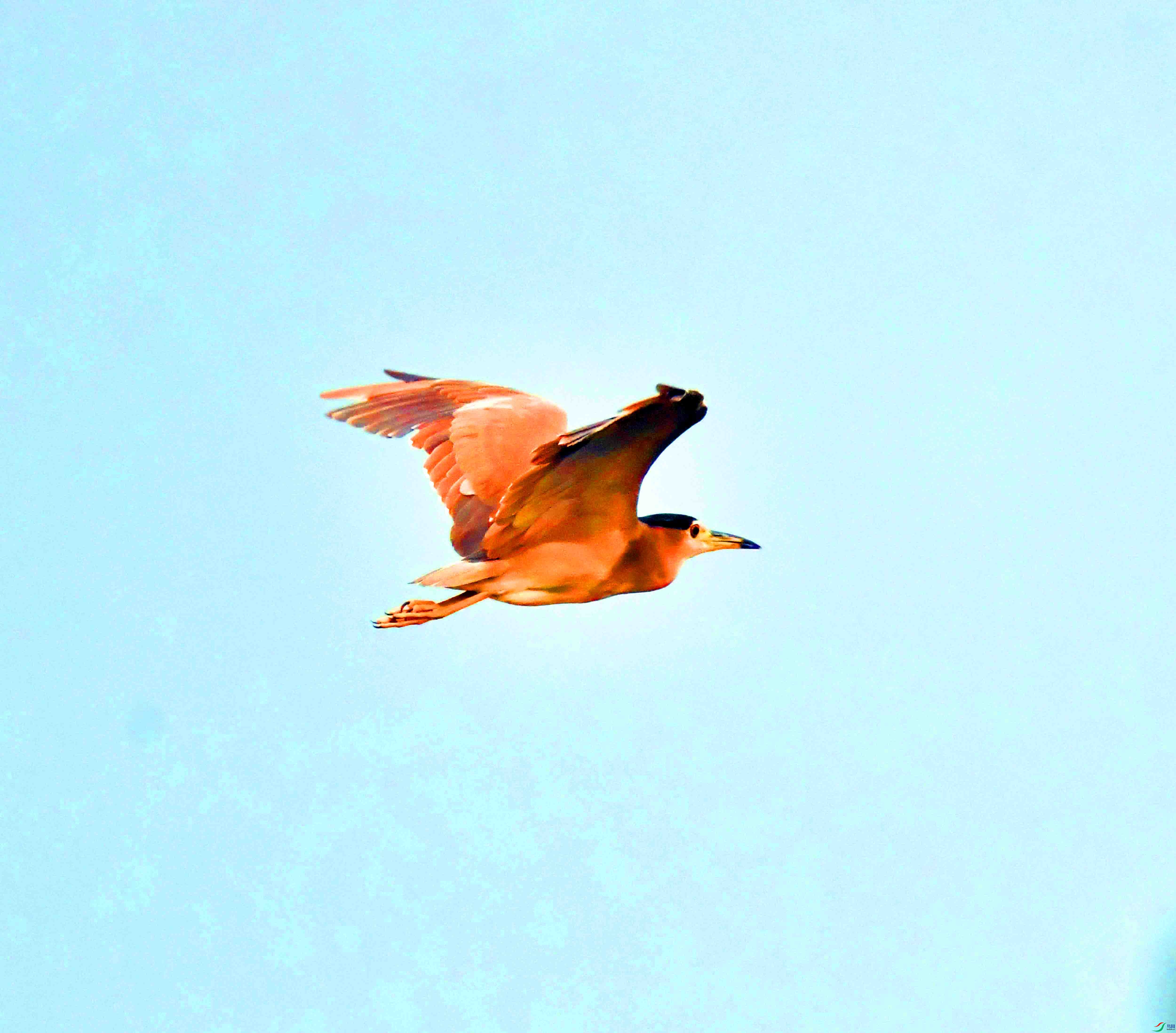 DSC_2181.JPG