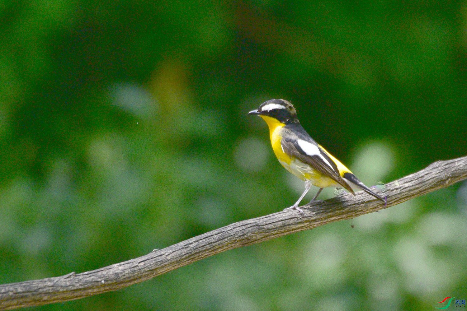 DSC_6046.JPG