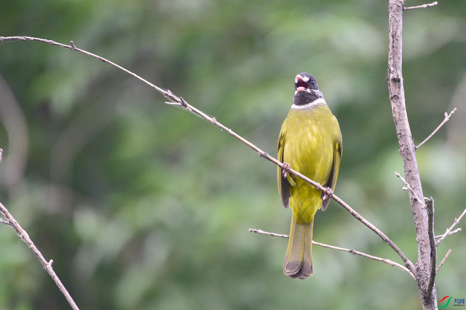 DSC_8329.JPG
