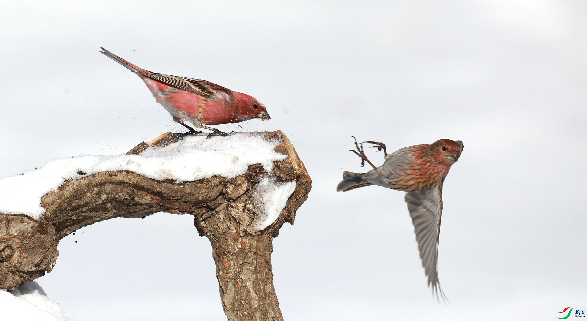 9G8A9837 ����.jpg