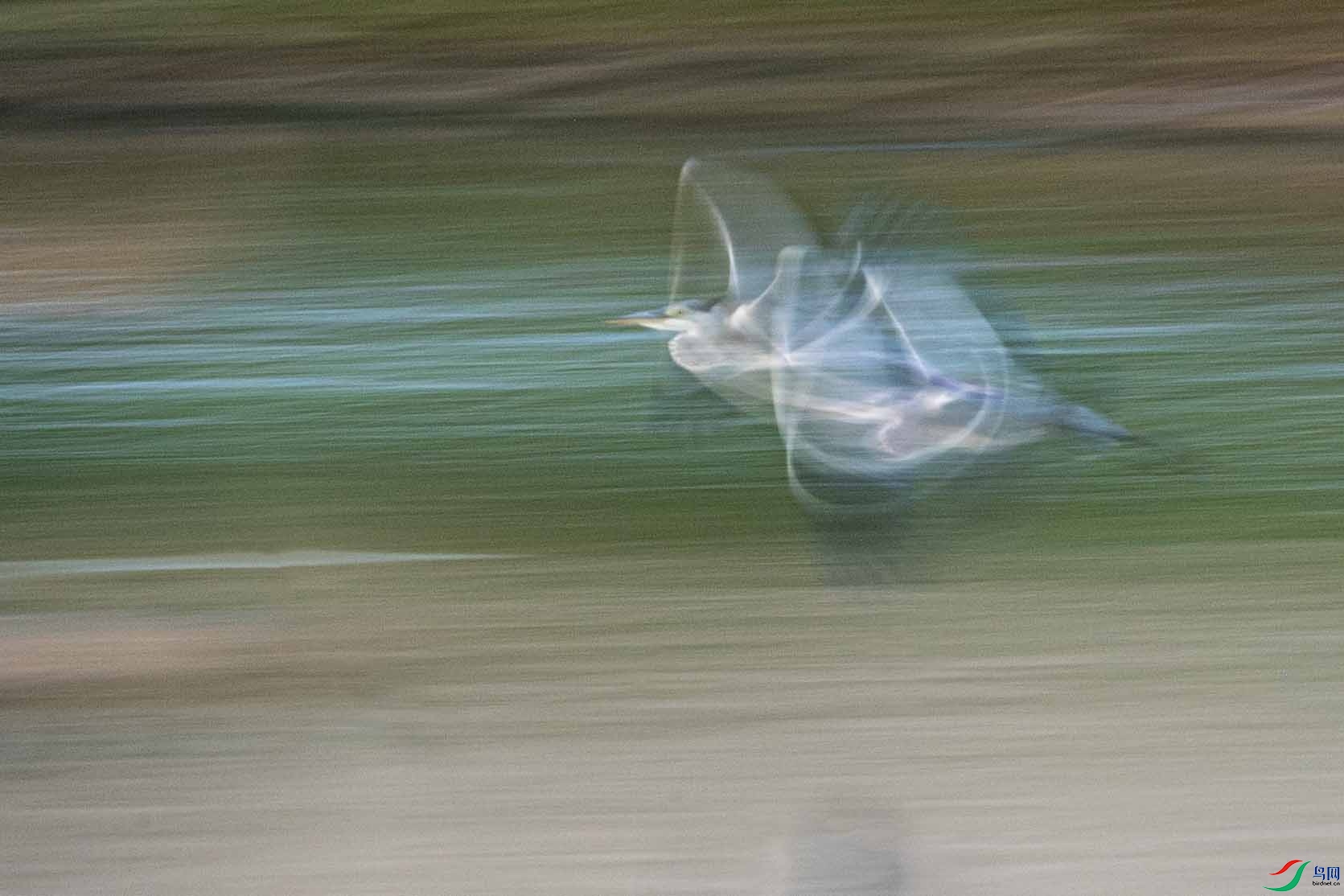 _DSC9154 ����.jpg