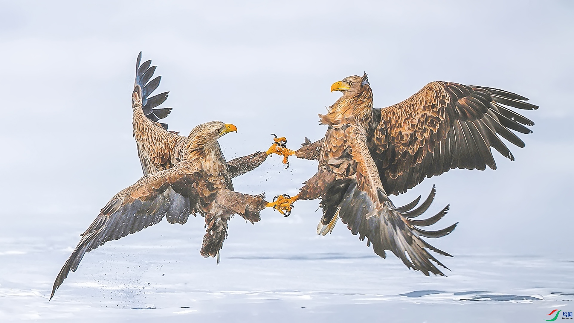 ��β����(С��Ƭ).jpg