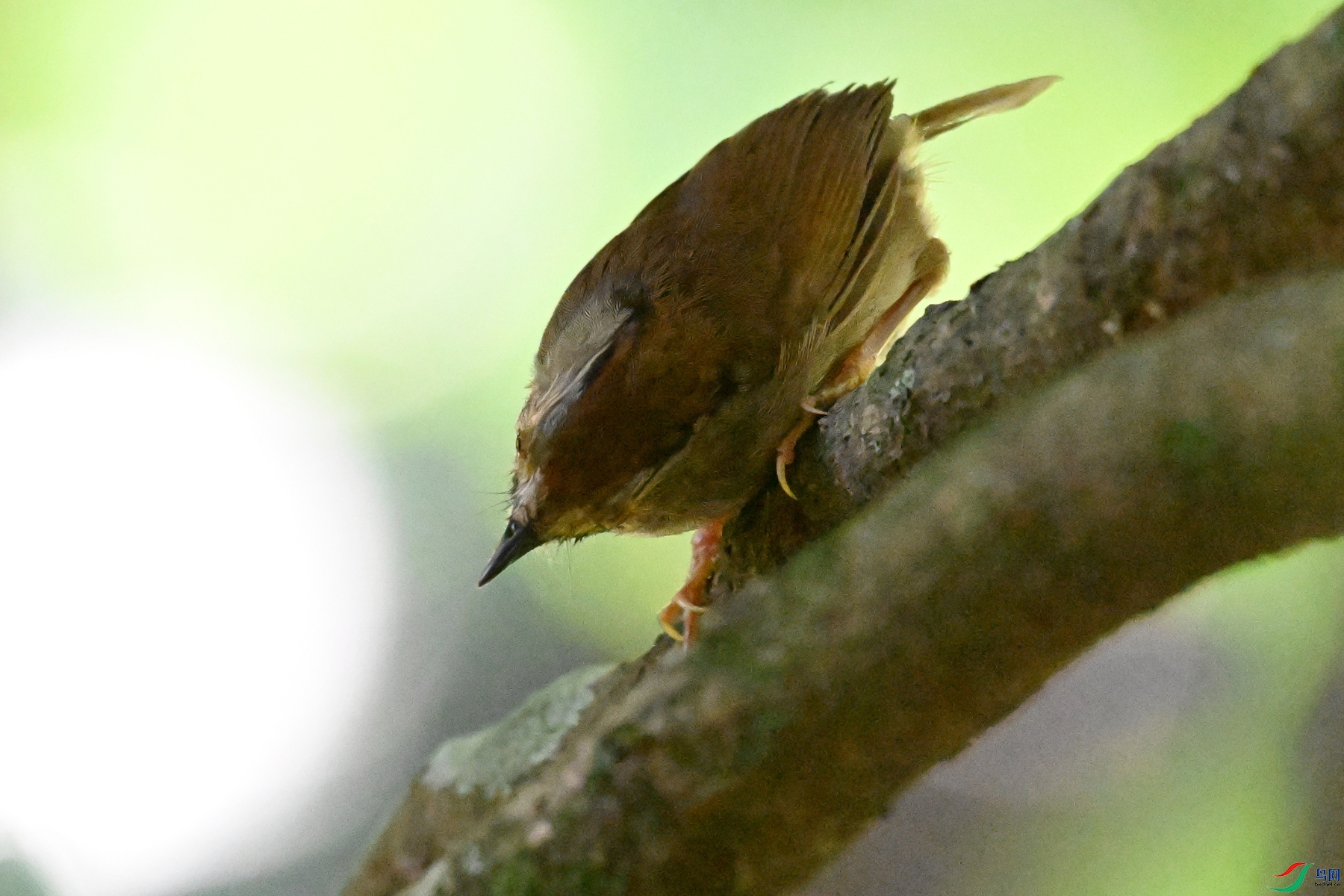 DSC_8866.JPG