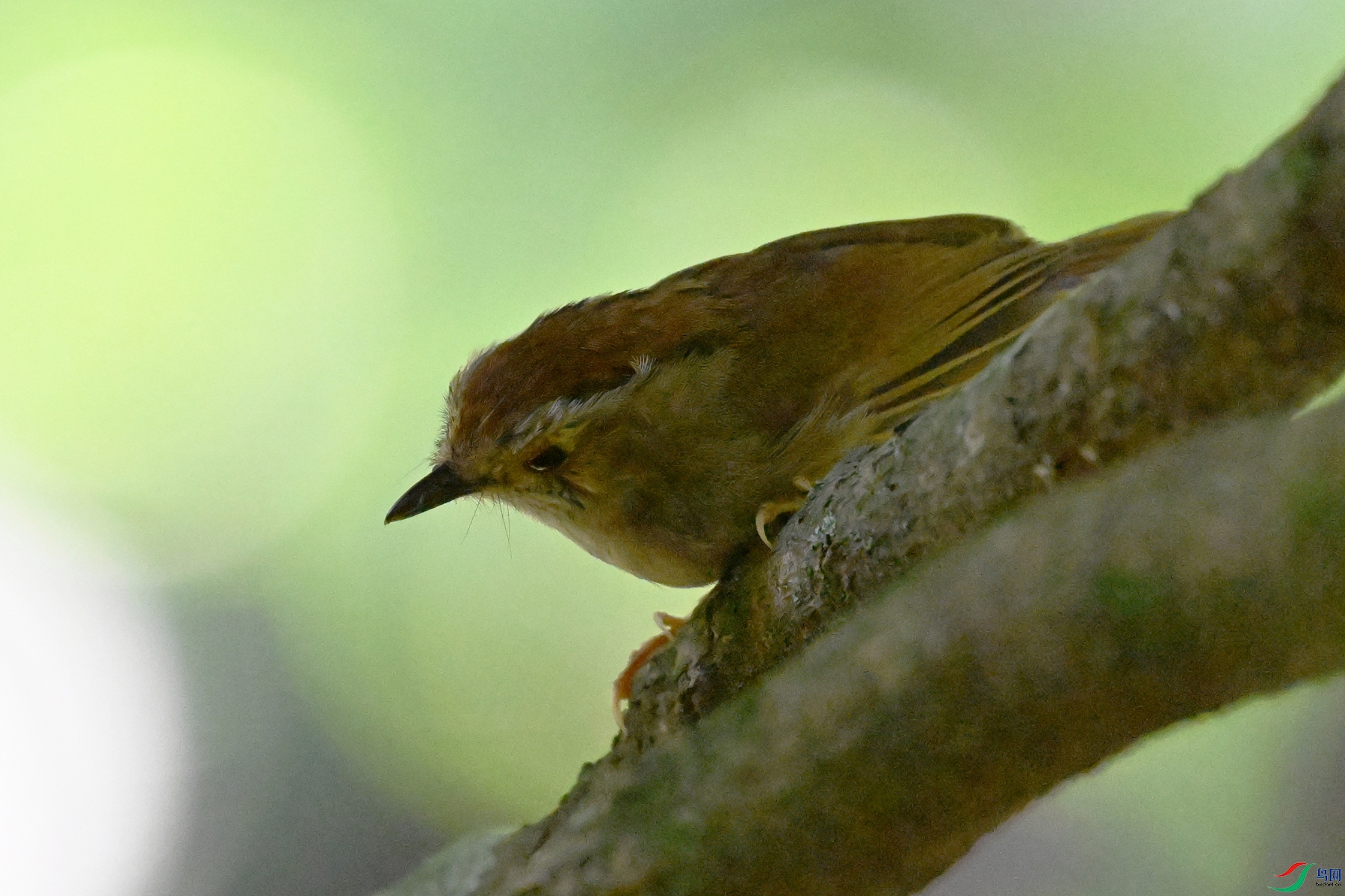 DSC_8861.JPG