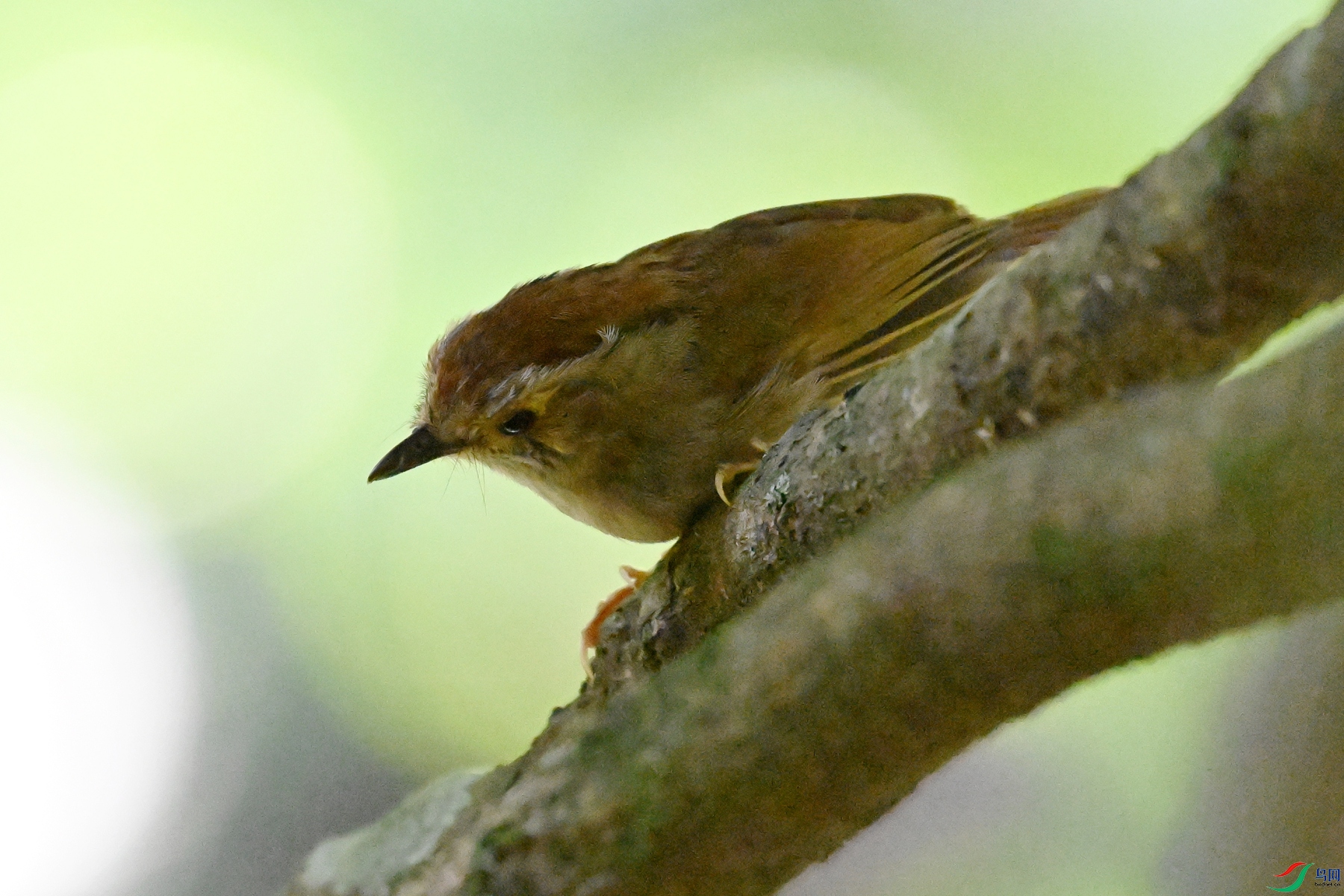 DSC_8863.JPG