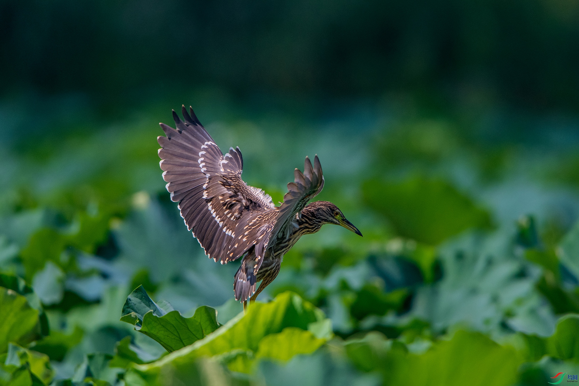 _AUU9850ҹ��(24.8.29).jpg