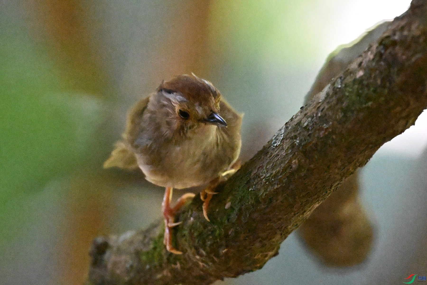 DSC_8890.JPG