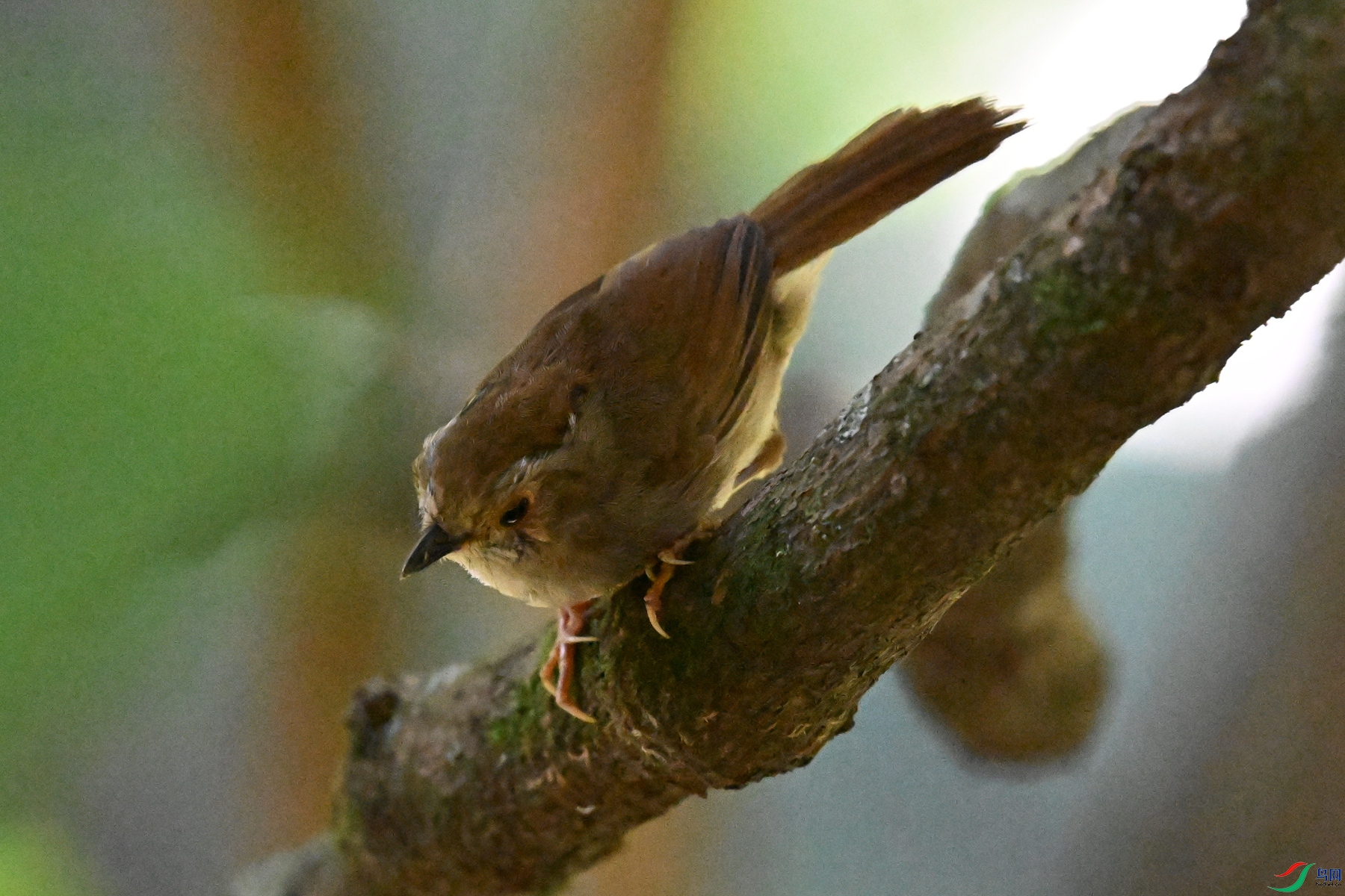 DSC_8884.JPG