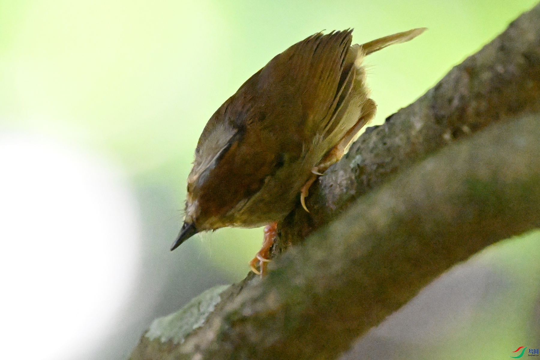 DSC_8869.JPG