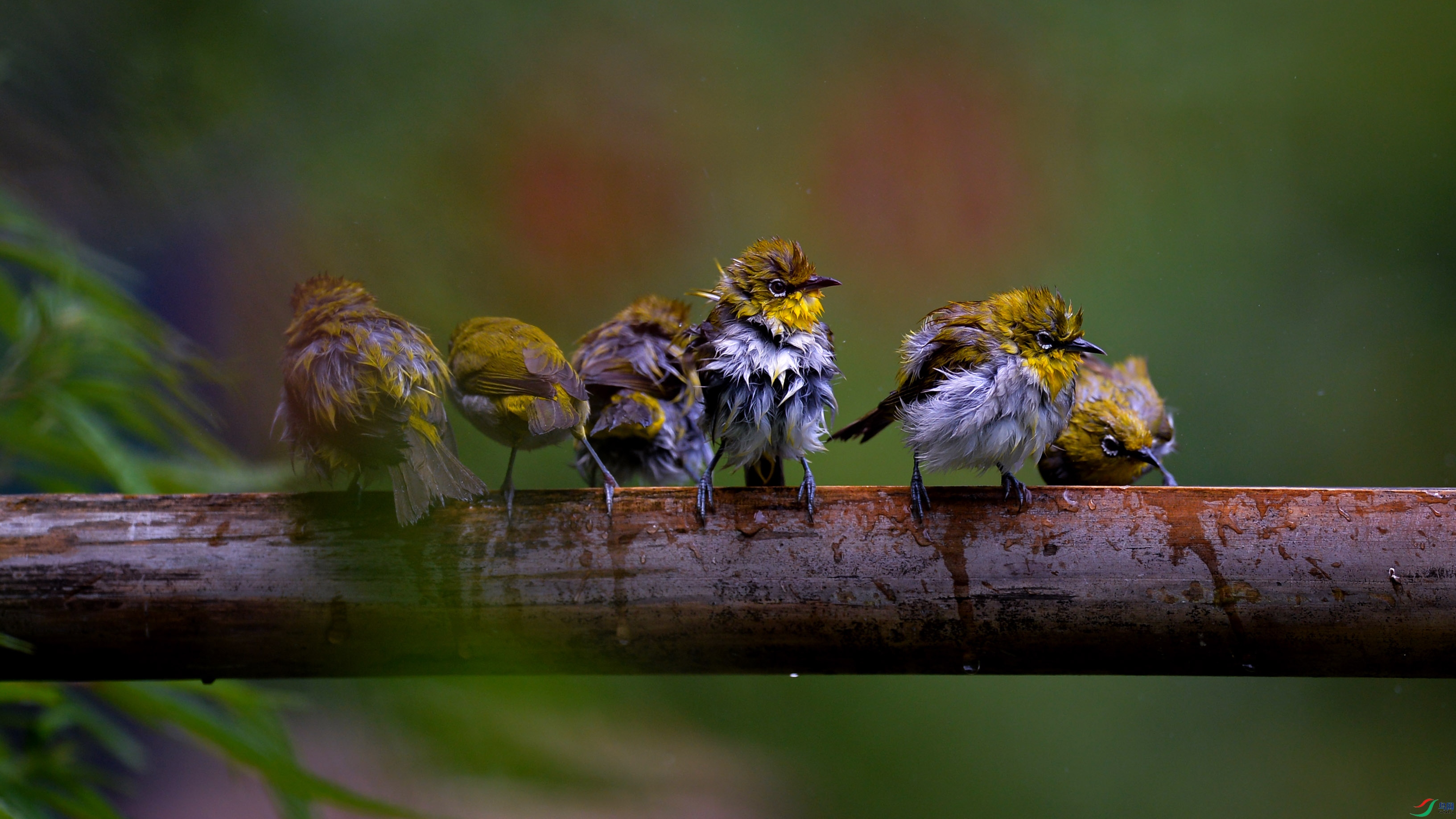 DSC_5287.jpg