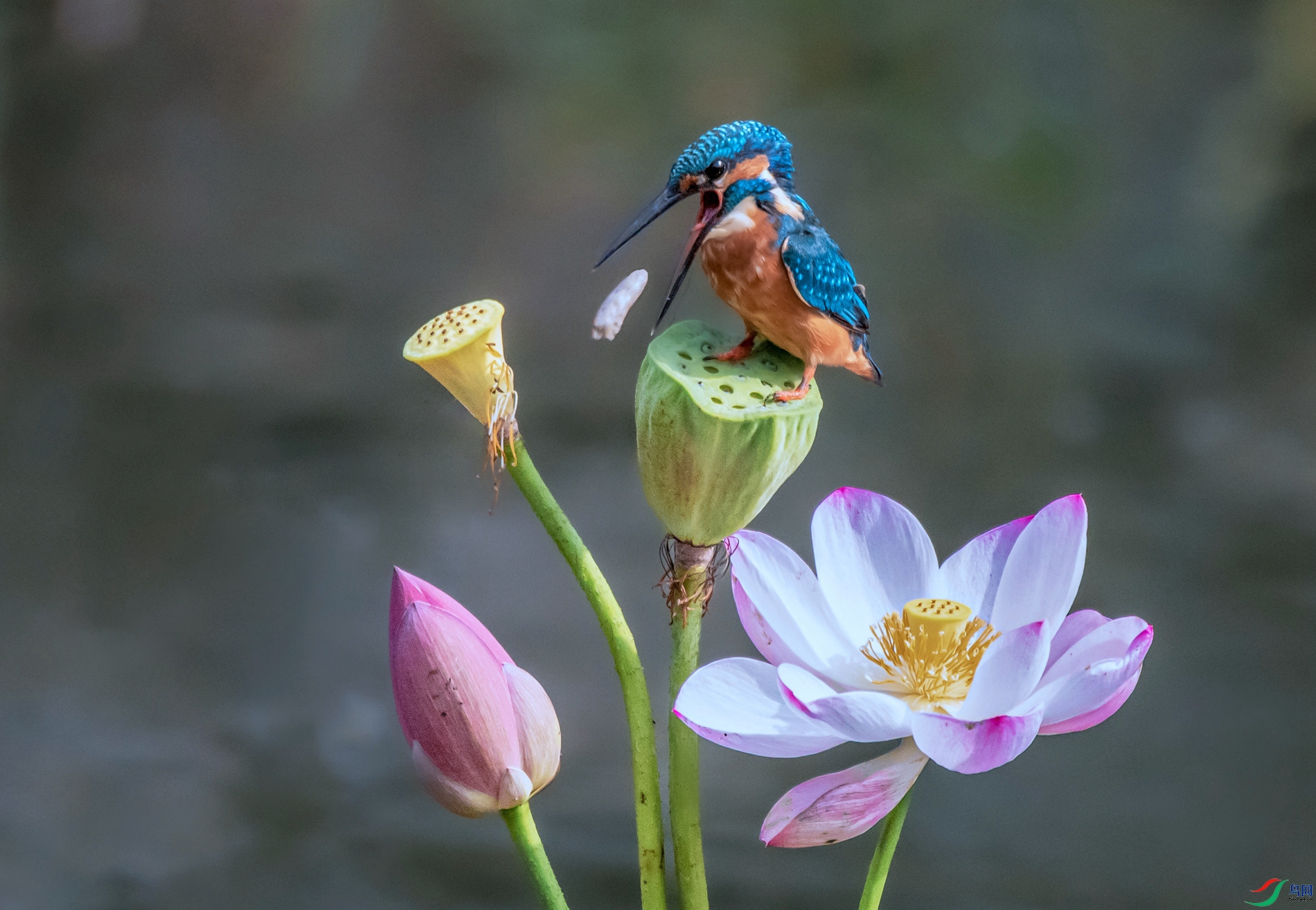 DSC_1953 ���� 2.jpg